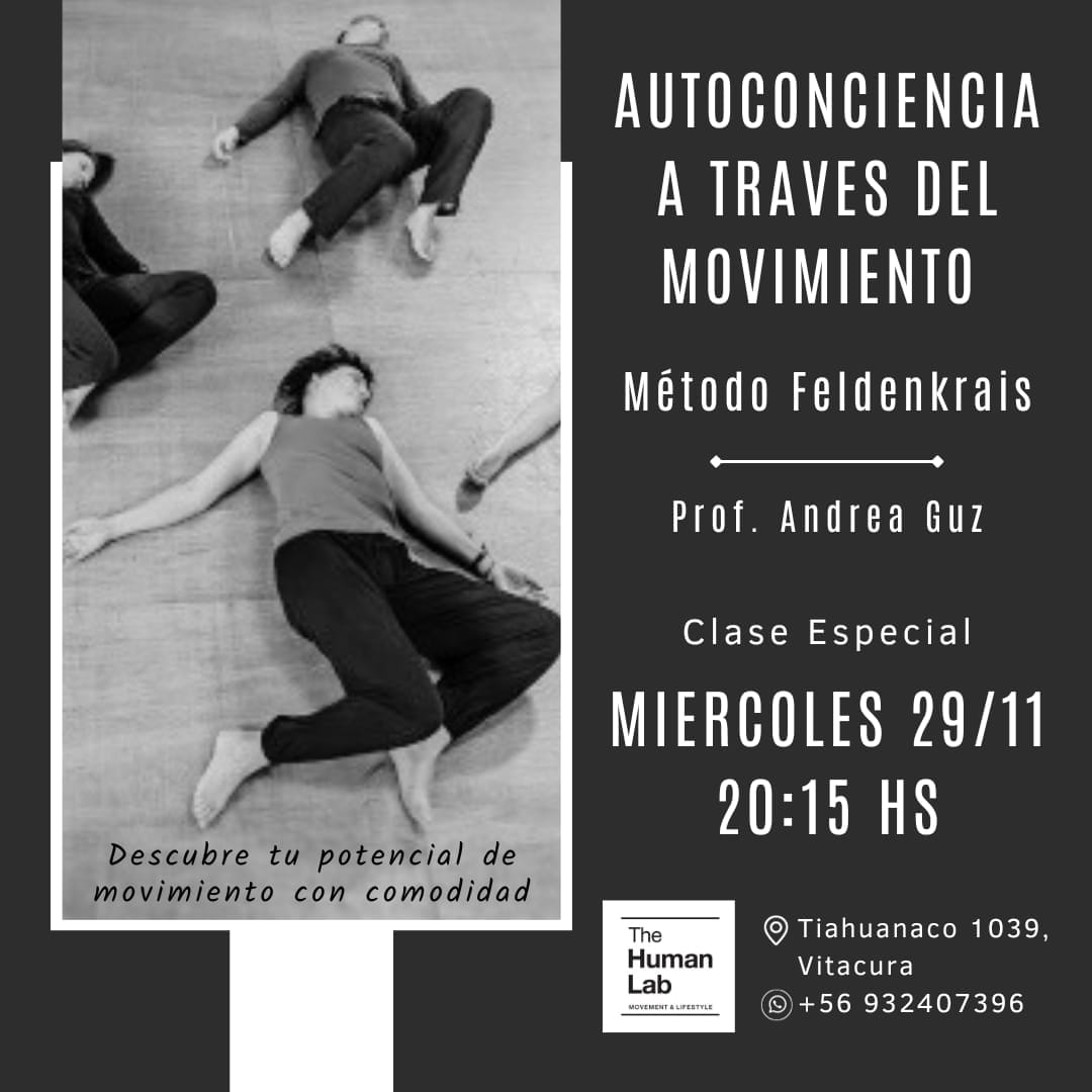 chile-clase-especial-estudi-feldenkrais-en-argentina